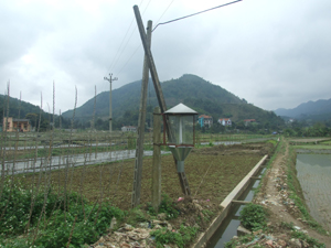 Hệ thống bẫy đèn ở xã Tu Lý (Đà Bắc) cảnh báo hiệu quả dịch bệnh trên lúa. 

